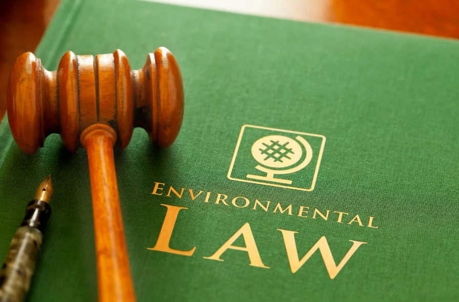 When Natural Disasters Meet Legal Accountability: An Environmental Law Perspective